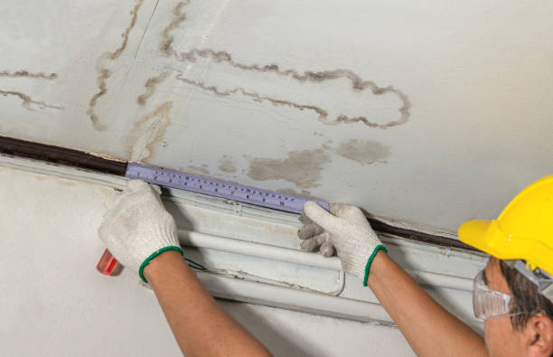 Reliable Burst Pipe Cleanup contractor in Milford, MI by Local Water Damage Repair